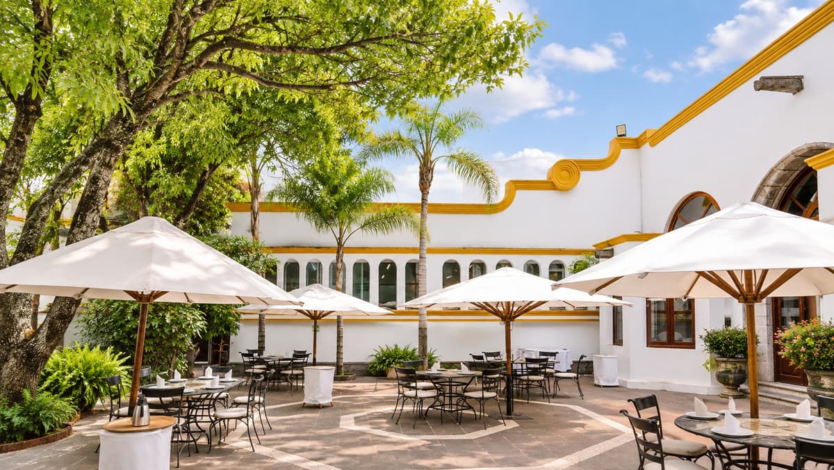 terraza y jardin